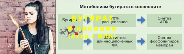 ECSTASY Бородино