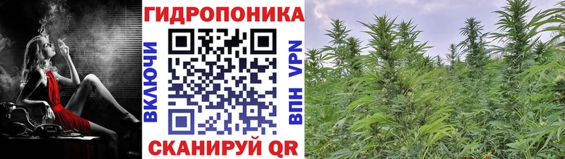 кракен вход  Лысьва  Бошки Шишки индика 